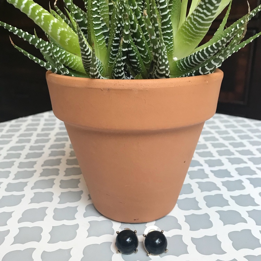Simple black stud earrings
